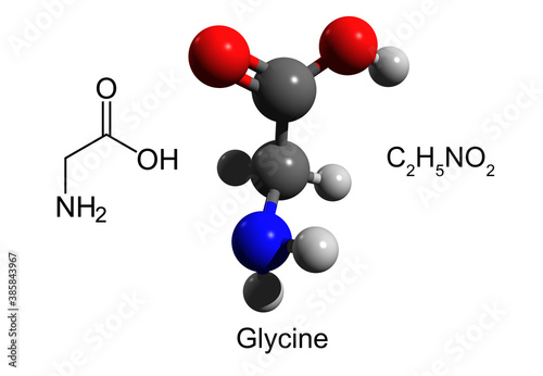 Chemical formula, structural formula and 3D ball-and-stick model of glycine, a simplest essential amino acid, white background