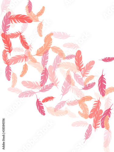 Falling feather elements soft vector design.