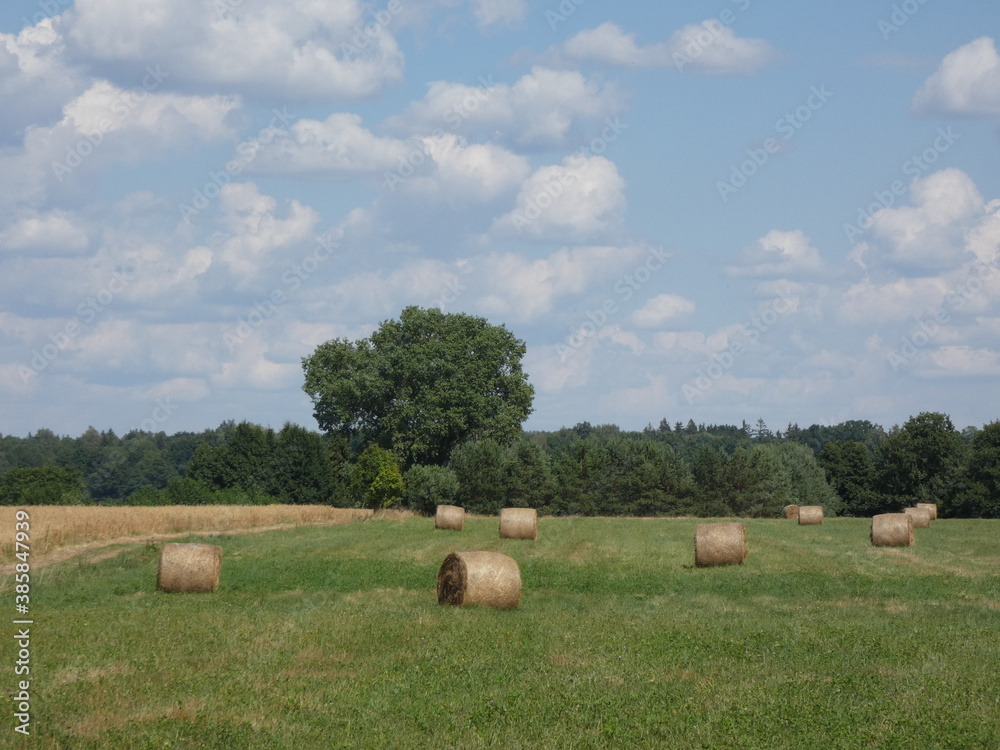 Rural landscape with haystacks on green field, blue sky with some clouds on a summer day, Mazury Province, Poland