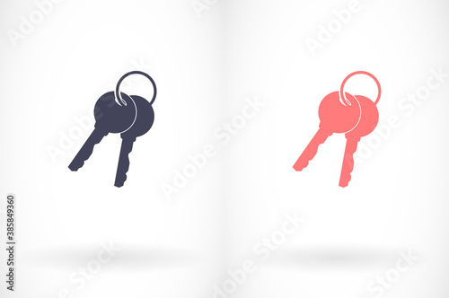 Vector icon key, design illustration for web key. Flat style key.