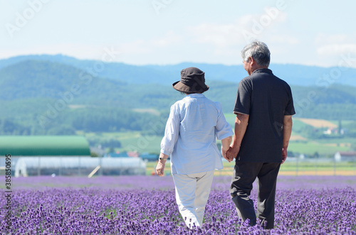 ラベンダー畑の中を歩くシニア夫婦