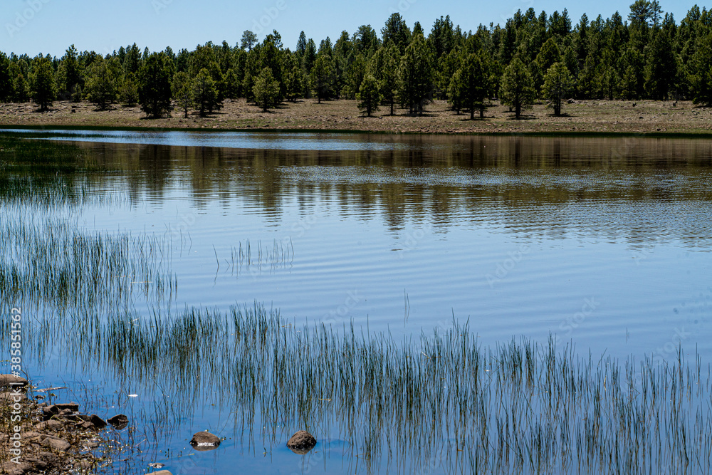 This image shows the grassy and rocky shoreline of Upper Lake Mary outside Flagstaff, Arizona.