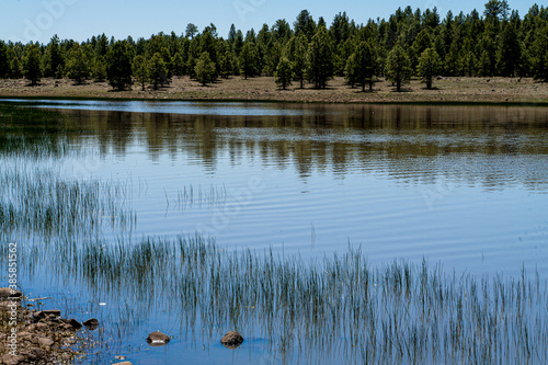 This image shows the grassy and rocky shoreline of Upper Lake Mary outside Flagstaff, Arizona.
