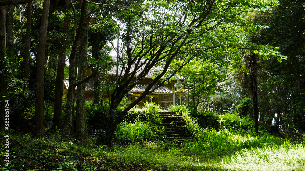 Αυτοκόλλητο Japanese forest shrine in the morning - Saitama (Japan)