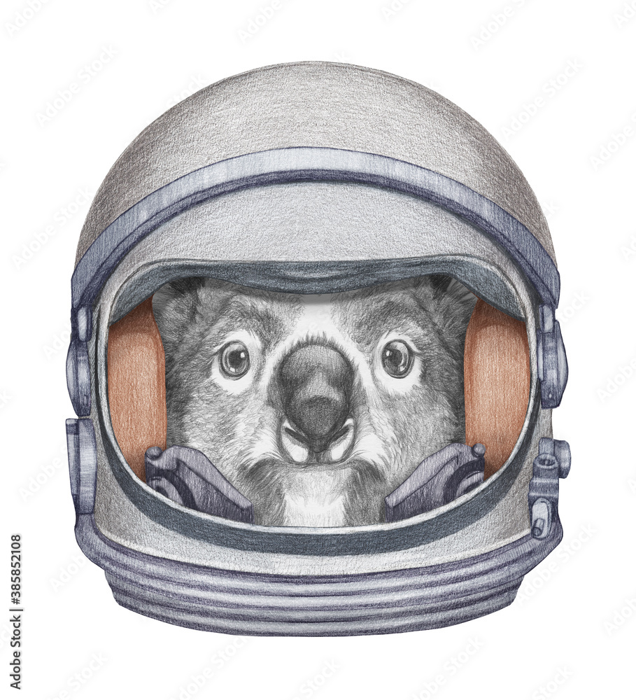 Photography Astronaut