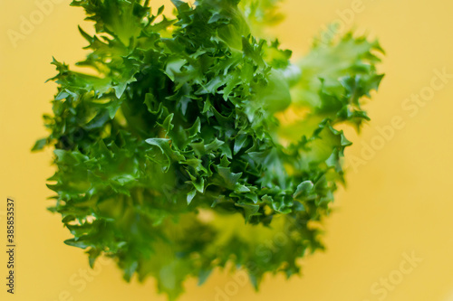 Green Salad. Juicy colorful colored texture. Concept vigor youth energy vegan food. Healthy fresh vegetables vitamins. Lettuce leaves on a yellow background. place for text  copyspace. Eco bio diet.  photo