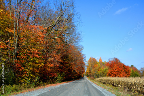 Fall landscape eastern townships BromFall landscape eastern townships 