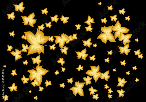 Estampado de hojas de otoño sobre fondo negro