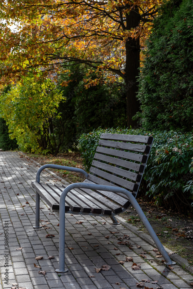 Wooden bench in autumn park under leaves