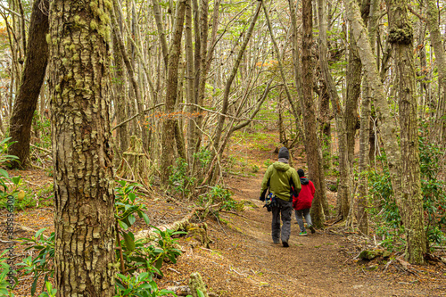 duas pessoas caminhando pela trilha no meio da floresta 