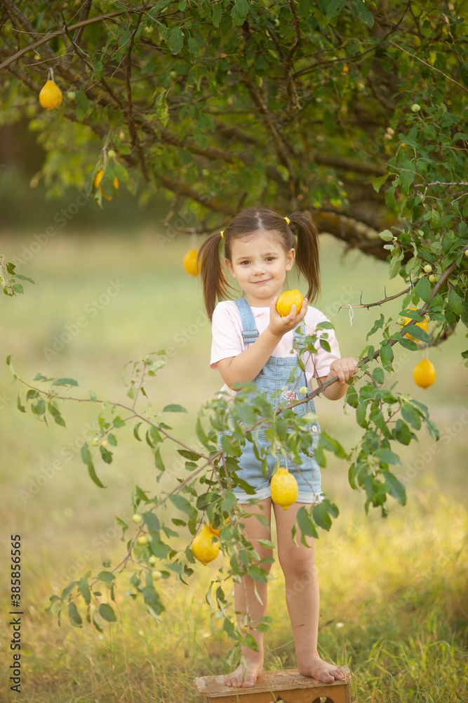 Cute little girl in nature with lemon under lemon tree in summer Cute little girl in nature with lemon under lemon tree in summer
