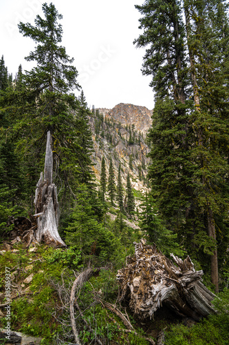 Sawtooth Wilderness in the Sawtooth Mountain Area, Idaho photo