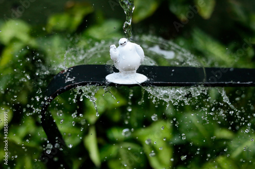 Obraz na plátně Baymax and Water