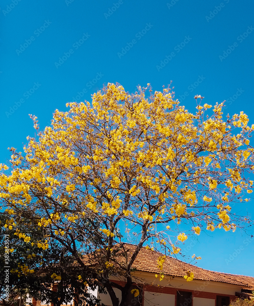 natureza linda natureza linda