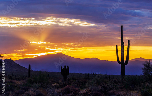 Desert Sunrise Skies With Dove Om Top Of Saguaro Cactus © Ray Redstone
