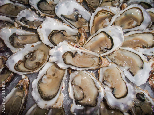 Fresh Oyster display
