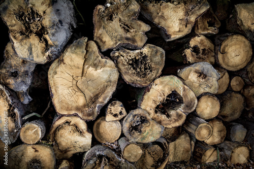 view of a pile of large logs at night