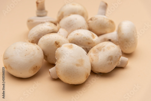 mushrooms on a wooden board