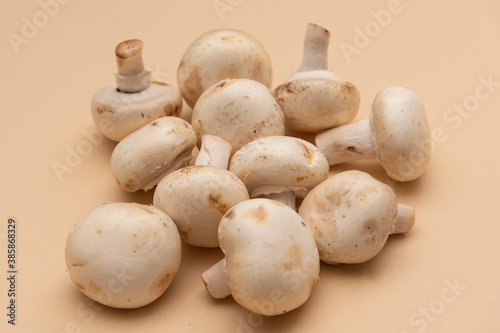 mushrooms on the table