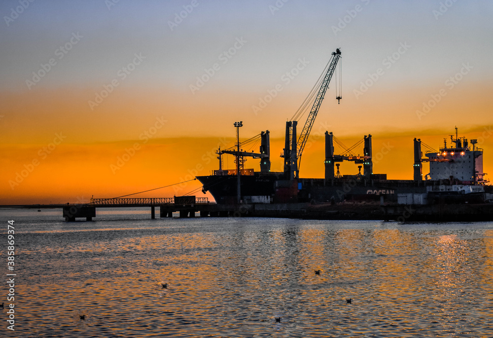 Fototapeta premium tardes de sol 