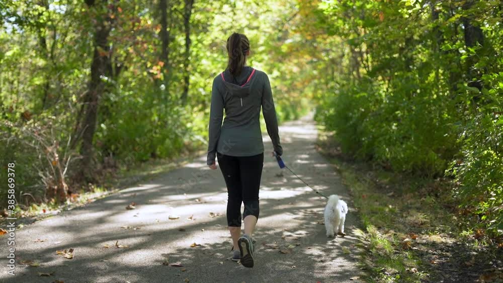 Slow motion of dog with owner on trail during fall season. Slow mo from 60fps to 24fps Slow motion of dog with owner on trail during fall season. Slow mo from 60fps to 24fps
