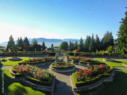 View of the famous rose garden of the university of British Columbia facing the pacific ocean in Vancouver photo