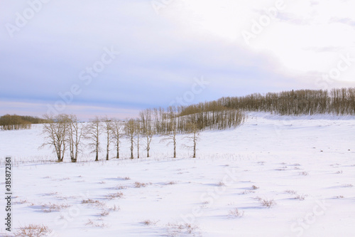 Wallpaper Mural Highway 12 ,  A Journey Through Time Scenic Byway, Utah State Route 12
 Torontodigital.ca