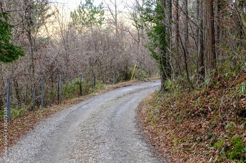 山道