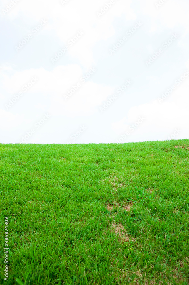 Obraz premium ゴルフ場の芝生