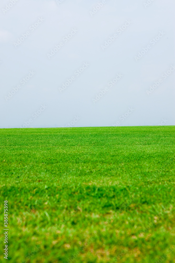 Obraz premium ゴルフ場の芝生