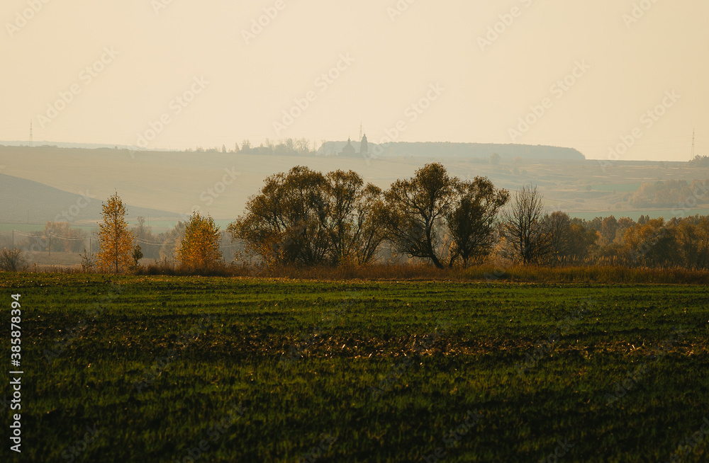 misty morning in the field