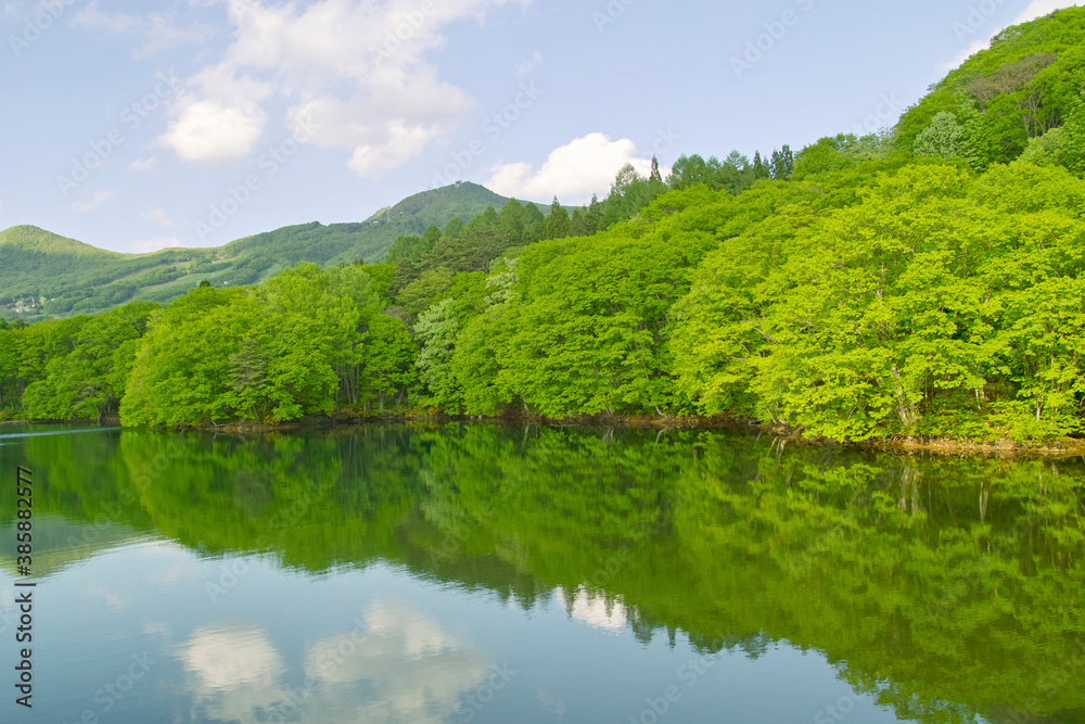 鴫の谷地沼