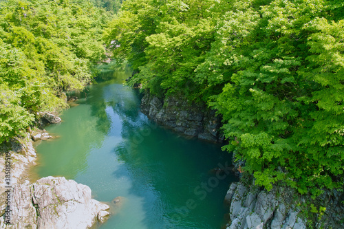 大鳥川