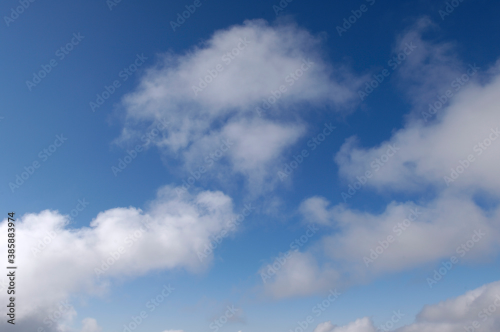 Obraz premium 雲