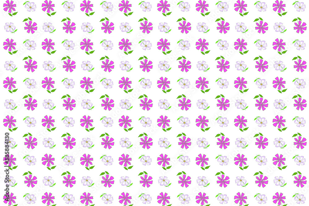 Seamless pattern hand drawn 0f flowers and leaves isolated on white background