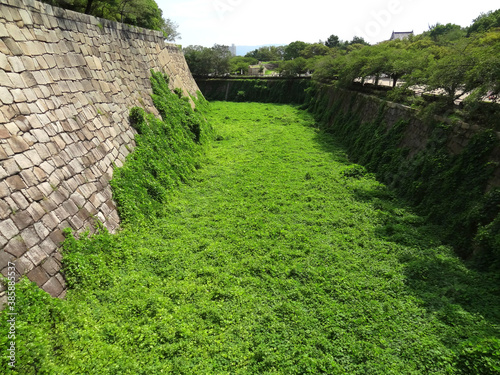 大阪城の空濠