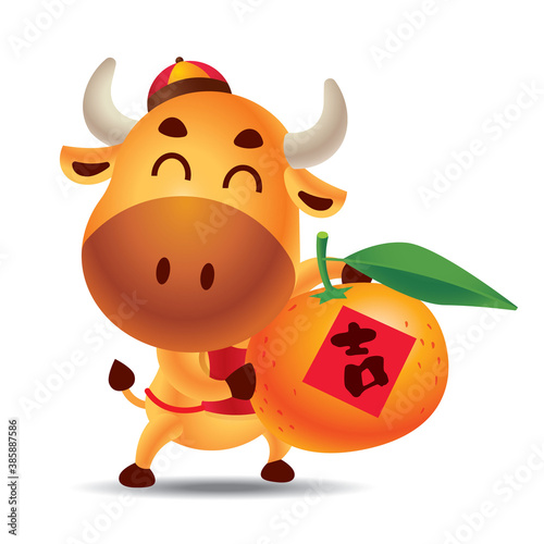 Chinese new year 2021. Cartoon cute ox carrying big mandarin tangerine orange with Chinese letter. The year of Ox. Translation: Blessing. - vector