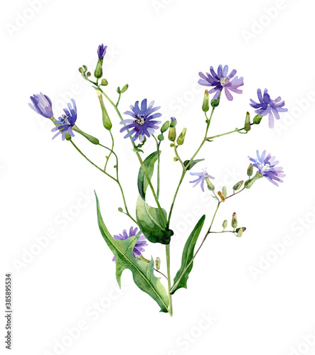 Watercolor branch of blue wild flowers on white background