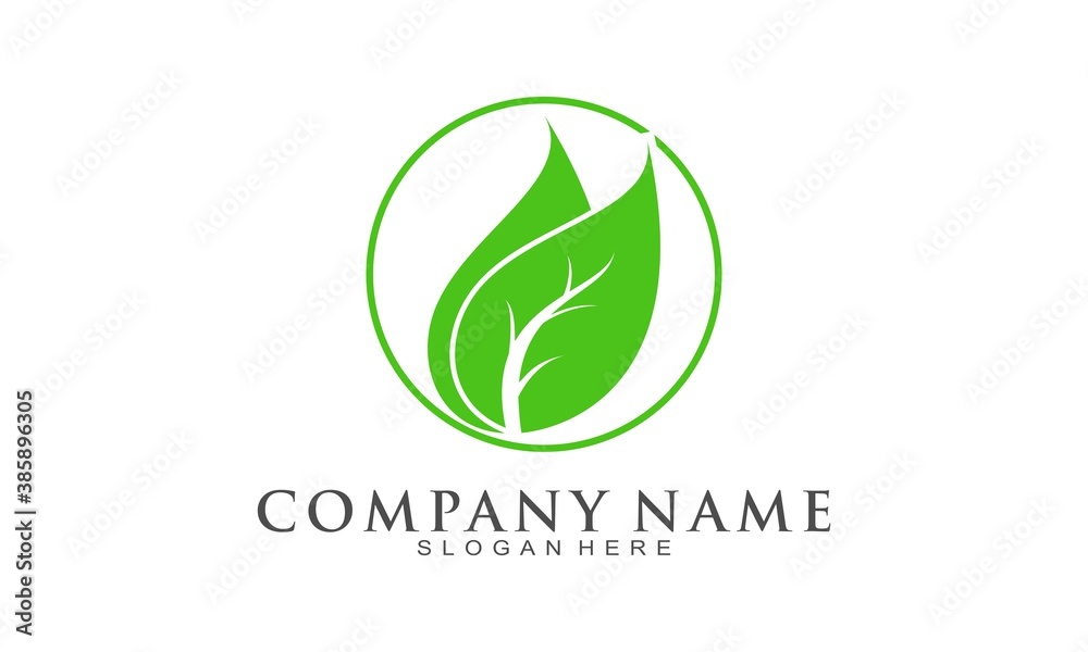 Leaf vector logo Leaf vector logo