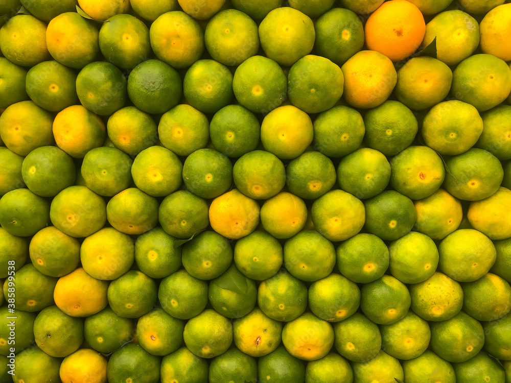 marketing and presentation techniques of tangerines marketing and presentation techniques of tangerines