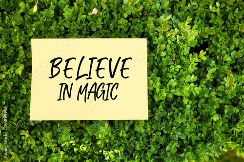 The words believe in magic written on paper in a garden with green plants in nature. Positive quotes. © Cagkan