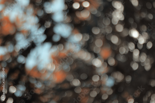 Blur nature tree beautiful for background, abstract bokeh forest background.