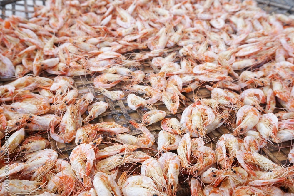 close up Small dried shrimp for cooking