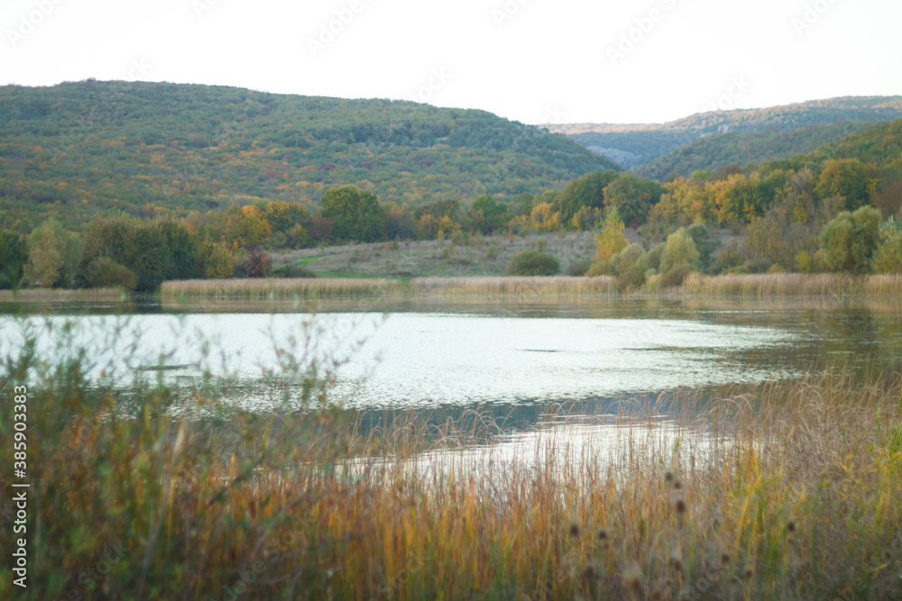 small lake surrounded by colorful autumn foliage