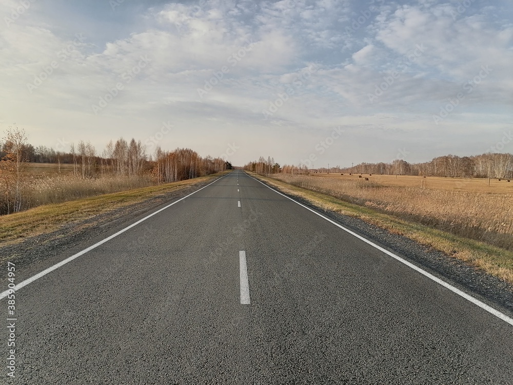 road in autumn