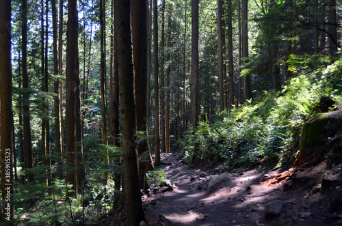 Vancouver  Canada - Baden-Powell Trail to Quarry Rock