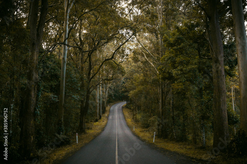 Landscape view with road in the forest, Queensland Australia.