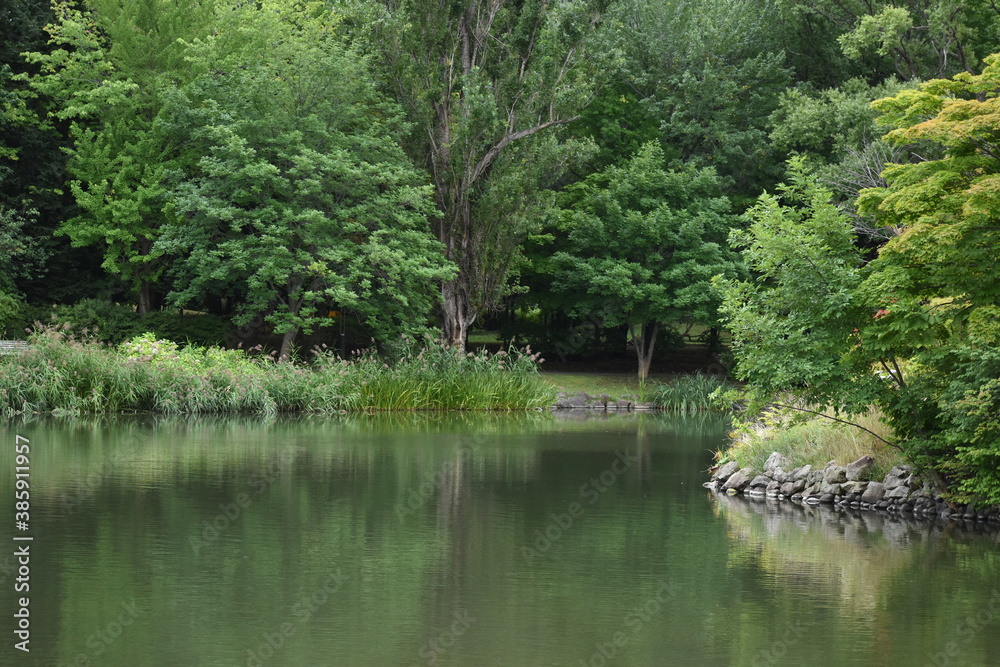 The deep green forest by the pond with its clear reflection in Sapporo Japan The deep green forest by the pond with its clear reflection in Sapporo Japan