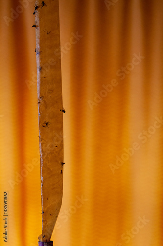 The fly stick is suspended from the ceiling opposite the orange curtains.
