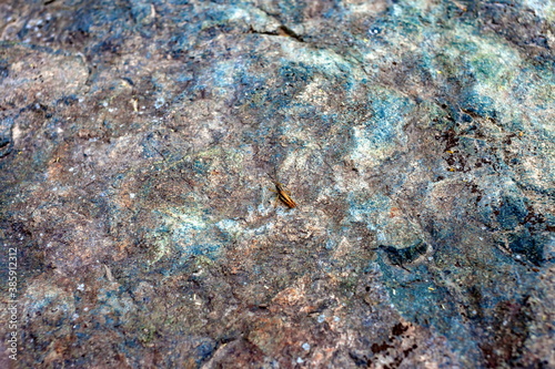 Fototapeta Naklejka Na Ścianę i Meble -  Stone close-up in summer. Background, screen saver, Wallpaper